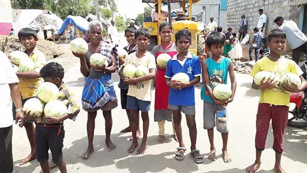 தர்பூசணி விளைச்சல் 