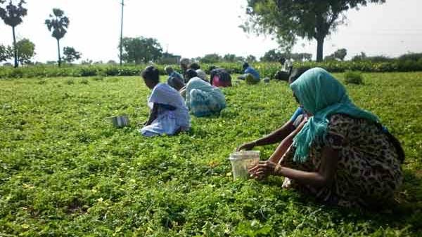 உதவி உதவி