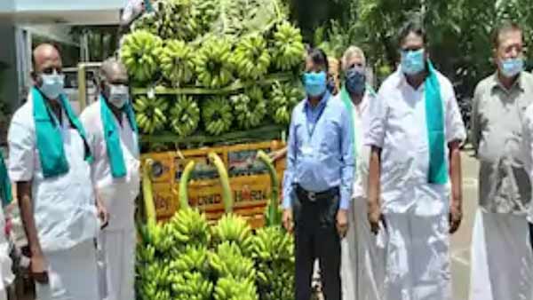 Farmers who gave bananas free to sanitary workers 