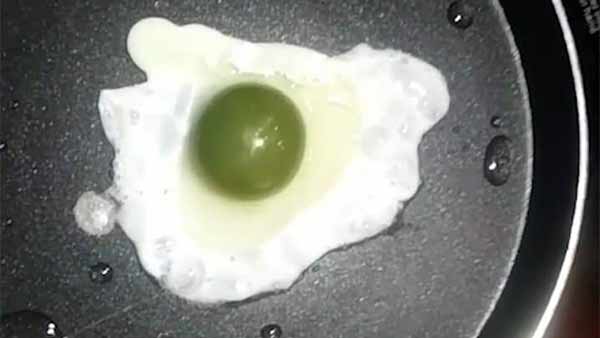 ஆளை விடுங்க சாமி 