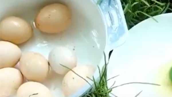 கண்டுபிடிச்சிட்டாங்கப்பா 