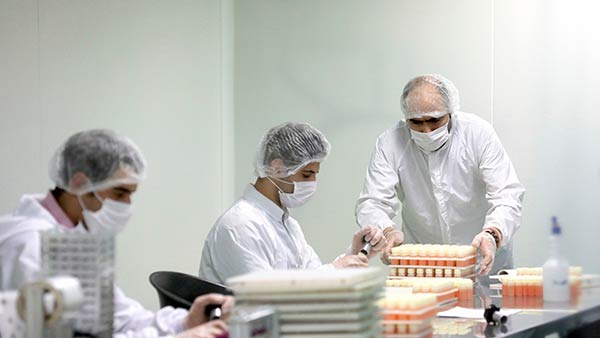 விரைவான முன்னேற்றம் 