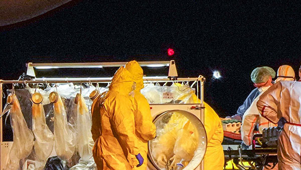 இத்தாலி 