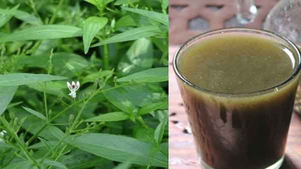 நோய் எதிர்ப்பு சக்தி 
