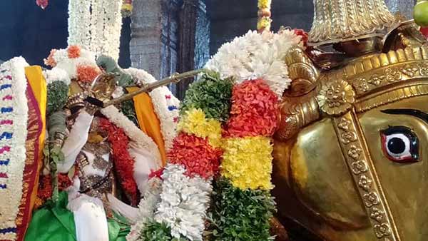 அழகரும் ஆடைகளும்