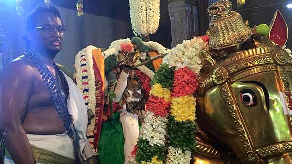 பெருமாள் தரிசனம்