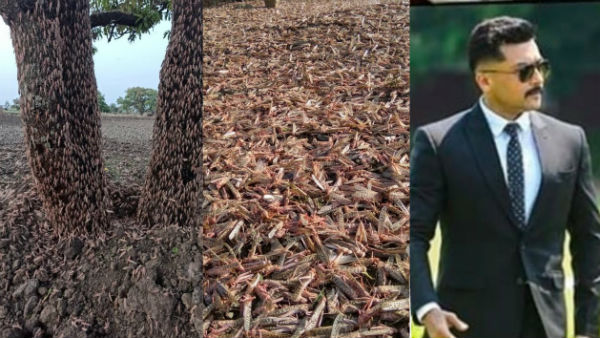 காப்பான் 