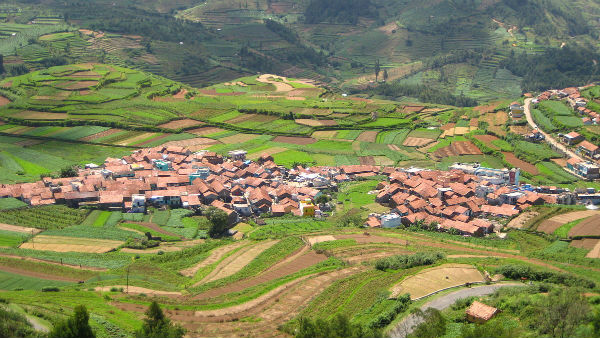 Kodaikanal village people deeply worry for lockdown because they faced poverty 