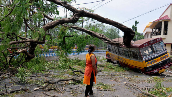 தலையை வெட்டுங்கள் 