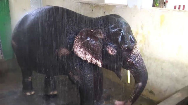 அடேங்கப்பா என்னா ஆட்டம் 