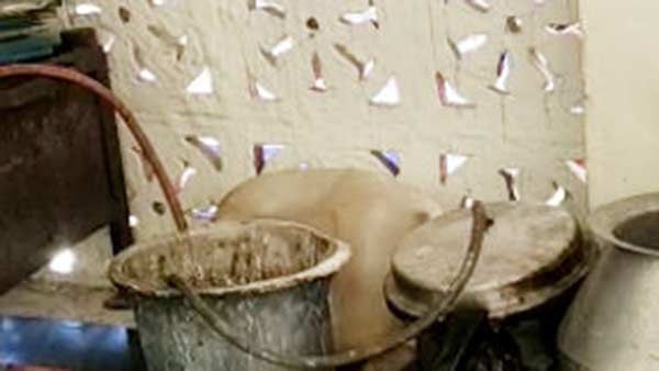 விசாரணை 