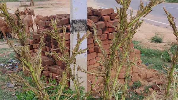 விவசாயிகள் 