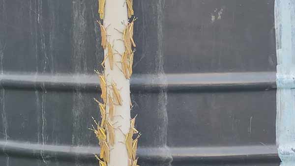 தீர்வுகள் 