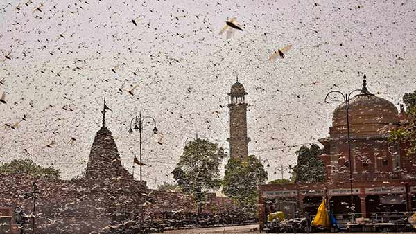 பஞ்சாப் 