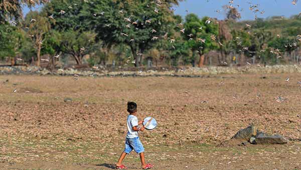 பேரழிவு 