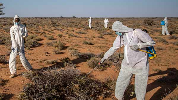 நகரங்கள் 