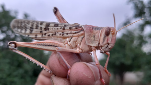 விவசாயிகள் 