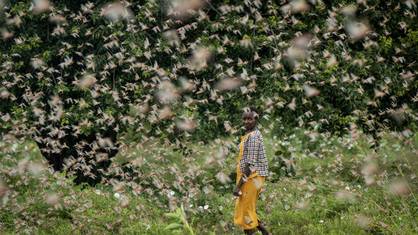 தலைநகர் 