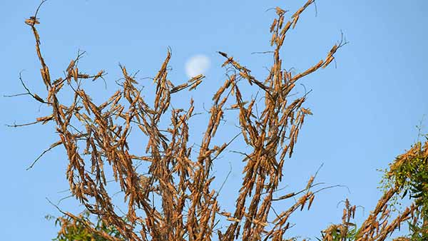 இதுவரை பார்க்கவில்லை 