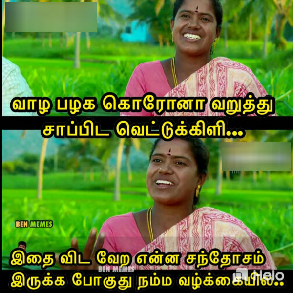 வறுத்து சாப்பிட வெட்டுக்கிளி 