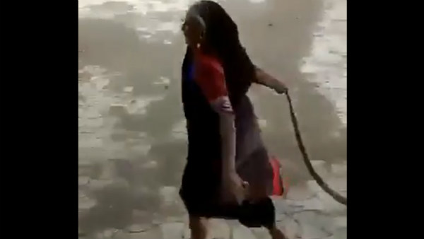 நல்லப்பாம்பை தூக்கியடிக்கும் பாட்டி 