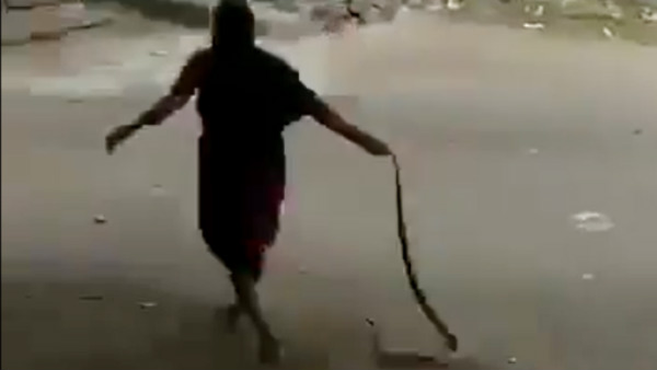 பாட்டிக்கு பாராட்டு 