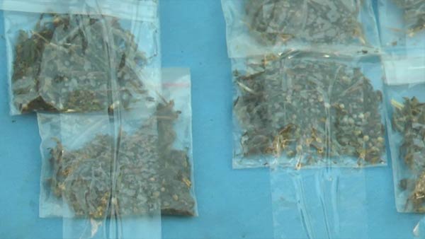 Police arrested people involved in cannabis smuggling 