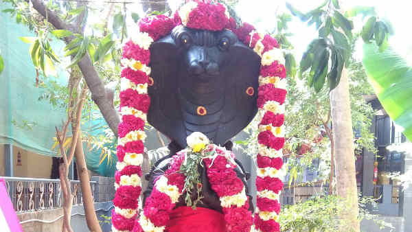 செவ்வாய் நட்சத்திரத்தில் ராகு