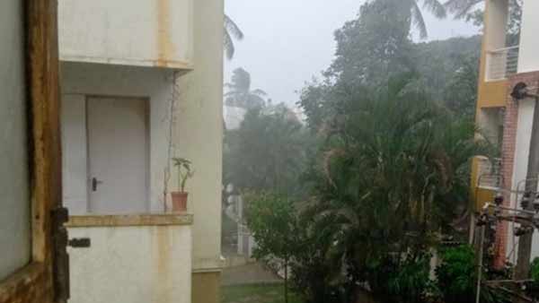 பலத்த மழை 