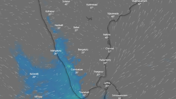 Tamilnadu weather: 3 districts will get rain 