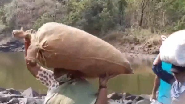 மூட்டைகள் 