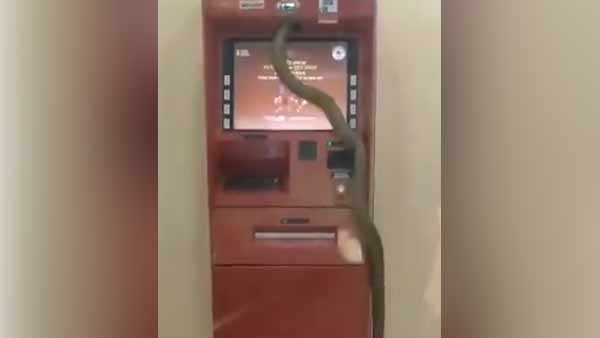 வாடிக்கையாளர்கள் 