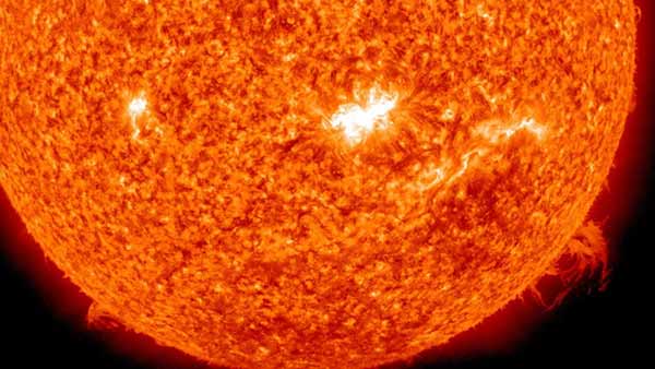 வேகமாக குறைந்து வருகிறது 