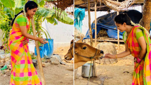  விஜய் டிவி மணிமேகலை 