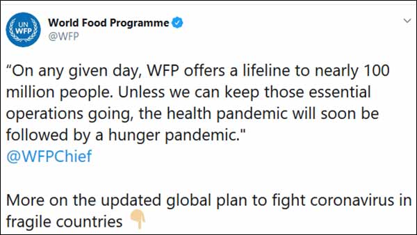  மார்க் லோகாக்