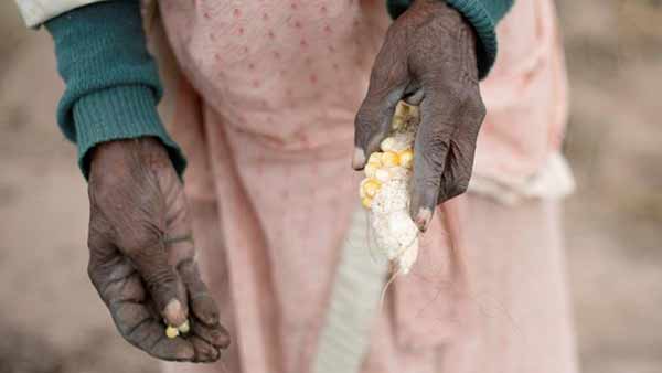  நிதியளிக்க வேண்டும்