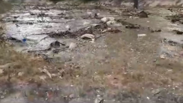 Farmers welcome Cauvery Water with flowers near Pudukkottai 