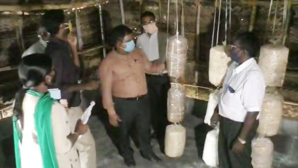 Mushroom cultivation for Women 