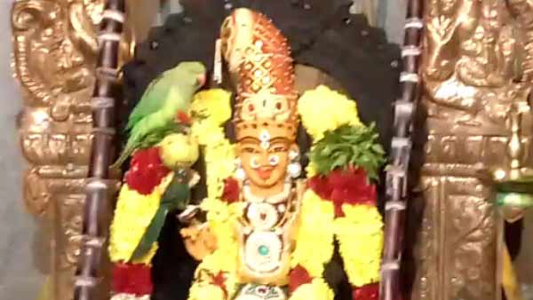 அம்மன் வழிபாடு 