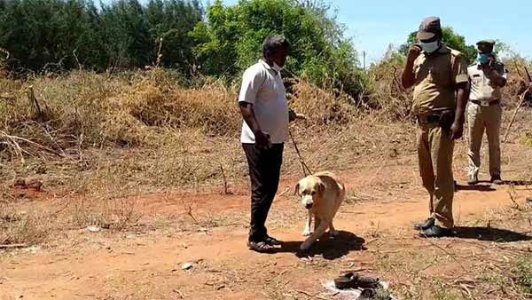 Bank employee assassinated in Puducherry 