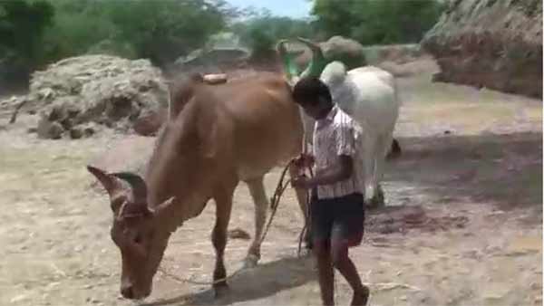 பொழுதுபோக்கு 