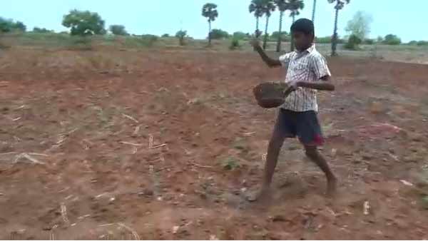 மாணவர்கள் 