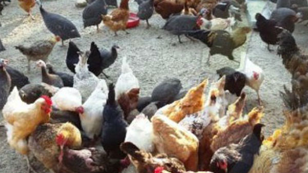 ஒரே நைட்டில் ரூ. 20,000 