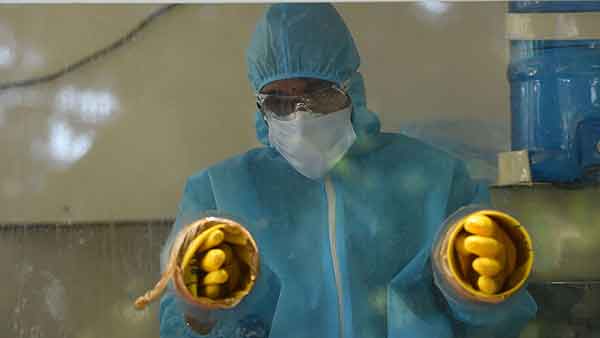 பின்புறம் 