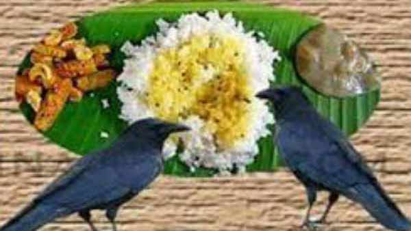 சனியின் வாகனம் காகம் 