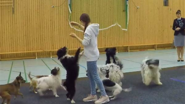 வைரலான வீடியோ வைரலான வீடியோ