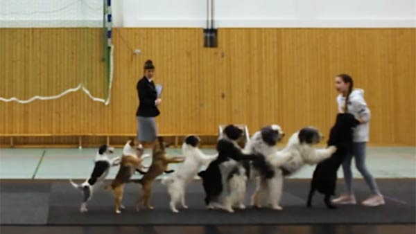 கின்னஸ் சாதனை கின்னஸ் சாதனை