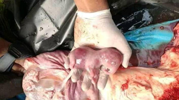 யானைகளுக்கு பாதிப்பு