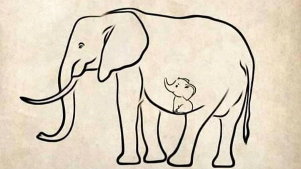 நவ கிரகங்களால் பாதிப்பு