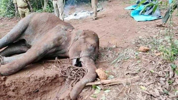 தலைமுறைக்கும் தீராத பாவம்